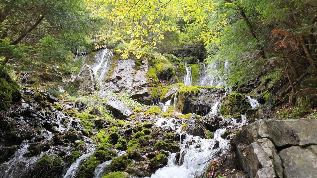 Cascada Spumoasa